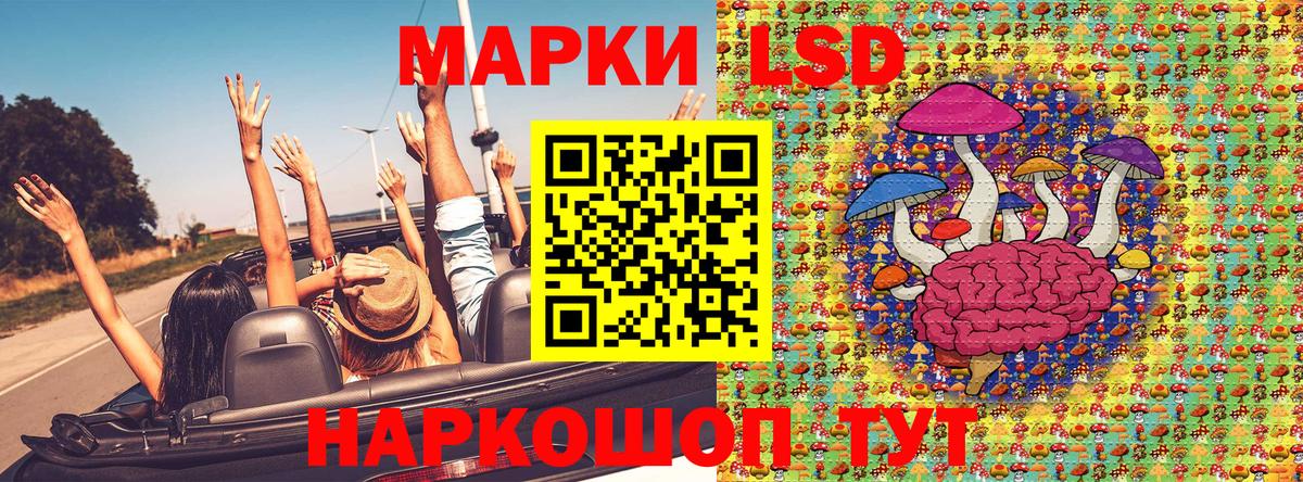 Марки NBOMe 1500мкг  Марки 25I-NBOMe  Марки NBOMe 1500мкг  Нерюнгри  Вход с VPN 