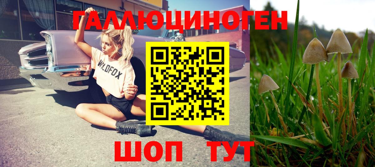Галлюциногенные грибы MAGIC MUSHROOMS  Вход с VPN  Нерюнгри  Галлюциногенные грибы Cubensis 