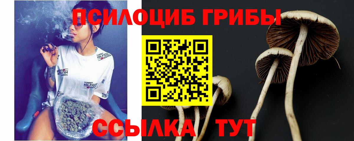 Галлюциногенные грибы GOLDEN TEACHER Нерюнгри